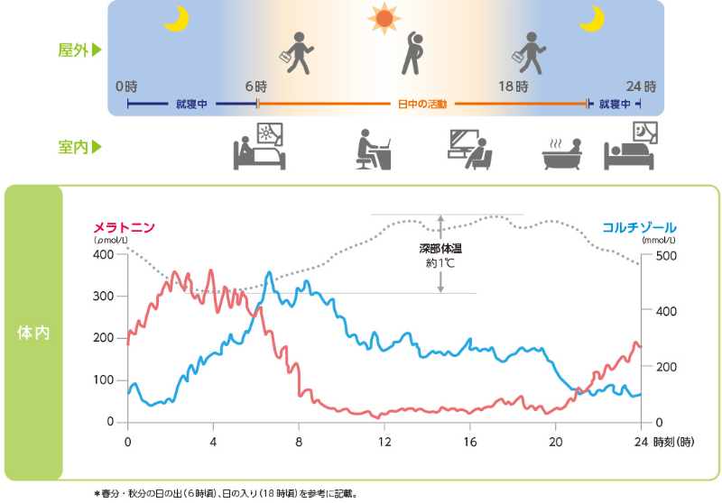 ヒトの体内時計 －1日の昼夜サイクルと体内変化－（イメージ図）
