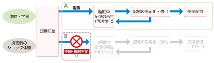 もう少し知りたい！【急性不眠とPTSD】