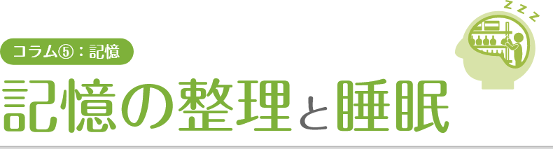 記憶の整理と睡眠